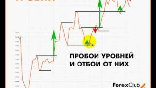 Форекс modernforex это с помощью каких вы торгуете на forex