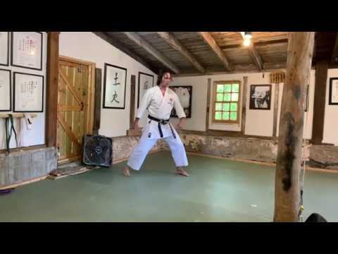 Karate Science: 15 Minutes of Thought #31: Teisho Uchi