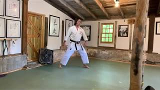 Karate Science: 15 Minutes of Thought #31: Teisho Uchi