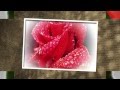 Поздравление   - Нежный реп-поздравление для женщин с 8 марта 