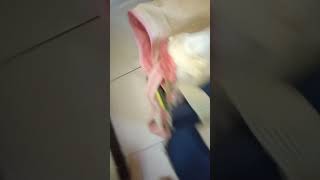 Hi help )(_36$(7_-!($6_772()8+868_(--+(7(3_7-7856757856&amp;+&amp;+#&amp;+-3#@#45&amp;-+2(7-7(-$(7-8)+_-+(7-(_$+-(&amp;6