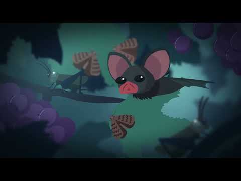 Climate Change and Bats: from Science to Conservation