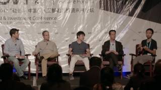 SVFF2017 Blockchain Panel video