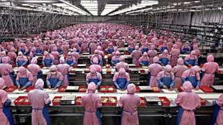 Sharkfood (Paul M cover) - Starsailor