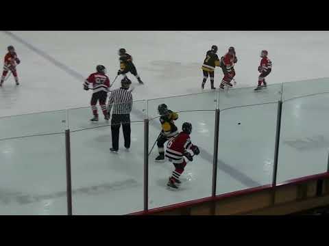 U13 AA Moncton Hawks vs East Hants Penguins Nov 19, 2022