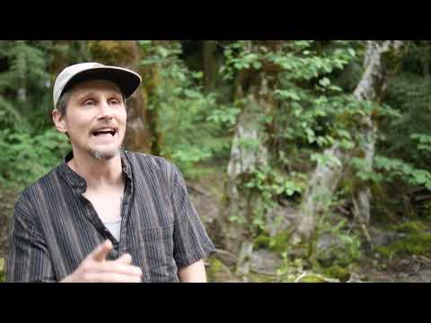 Jesse The Imaginer - Living Biography