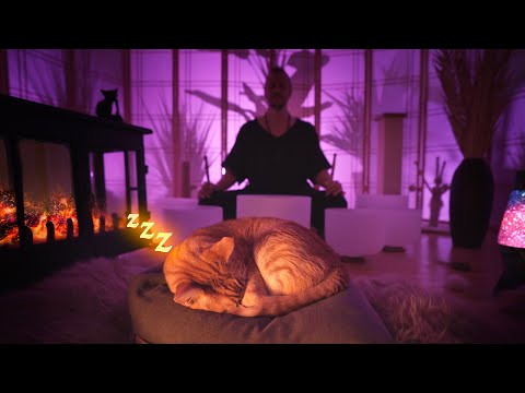 Fireplace Sound Bath Music for Cats | Animal Anxiety & Sleep Music | Singing Bowl Meditation Music