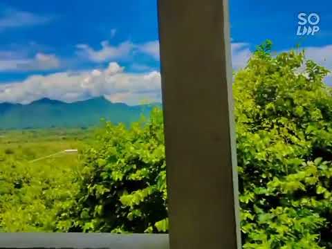 Nature of beauty 😍