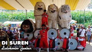 Download lagu CAN MACANAN SINGO MANGGALA DAN DRUMBAND DI SUREN LEDOKOMBO JEMBER.mp4 mp3 Download lagu CAN MACANAN SINGO MANGGALA DAN DRUMBAND DI SUREN LEDOKOMBO JEMBER.mp4 mp3