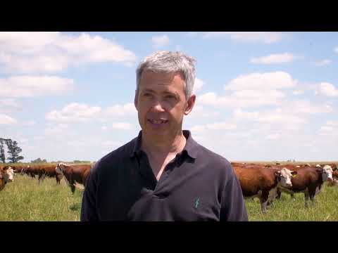 Testimonial Allflex - Med. Vet. Luciano Nosetti - Salliqueló, Buenos Aires