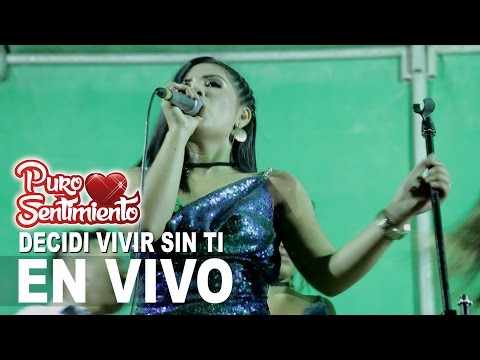 Decidi Vivir Sin Ti  Puro Sentimiento Concierto Oficial Primicia 2017 4K