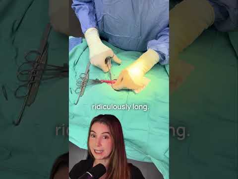 Major flaws in the new cat spay study that veterinarian and cat lovers should know!🐈‍⬛📚