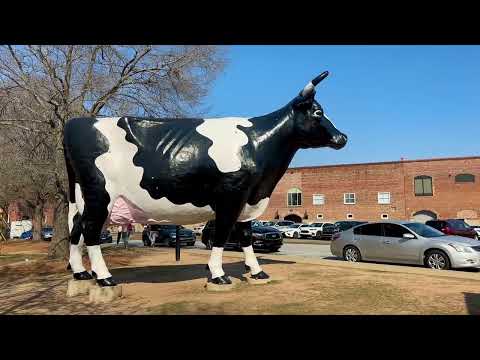 Columbus Georgia walking tour Historic District Uptown Riverwalk Waveshaper Kadie Bo Bartlett