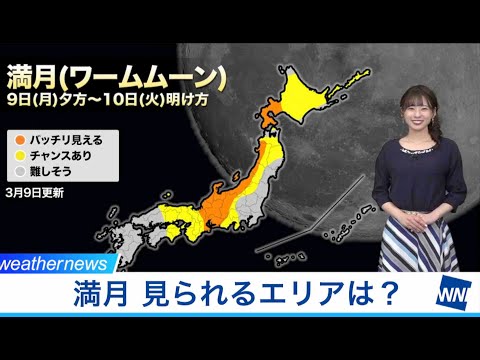 豊作は月の満ち欠けによるものですか、それともあなたの勤勉によるものですか?月を眺めながらガーデニング：神話か現実か？  庭園