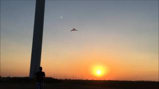 Diamondkites Freestyle