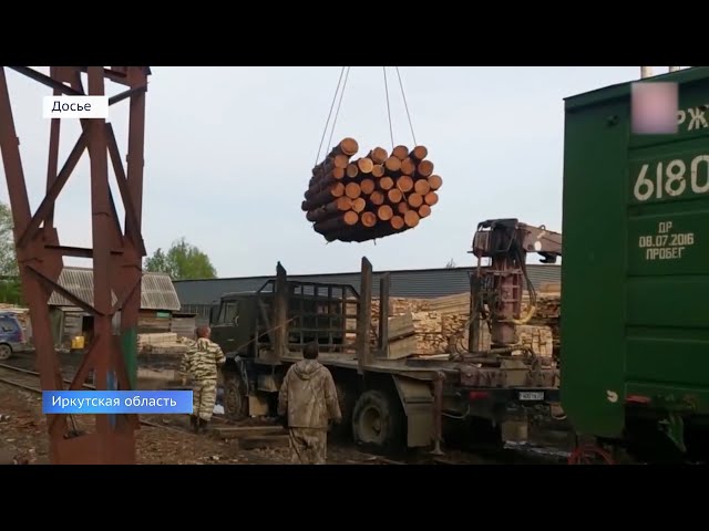 С начала года в Иркутской области выявлено 362 случая незаконной вырубки леса