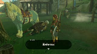 【#4】【ゼルダの伝説:BoW】今度こそ世界を救う