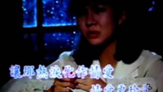 鴨印翻唱-星夜的離別