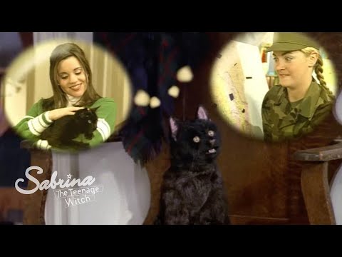 Salem Saves Sabrina From Becoming a Cat!