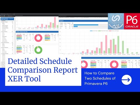 Convert Primavera P6 Schedule to Excel Timeline Project Plan in Excel with Gantt Chart from P6