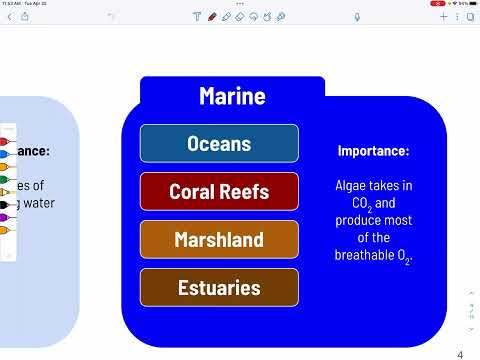 #APES AP Exam Review - Unit 1 Ecosystems