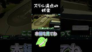 スリル満点の娯楽【Cities: Skylines II】