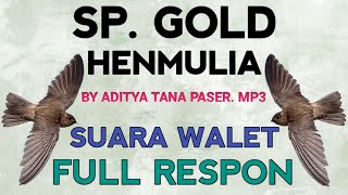 Download lagu SP. GOLD HENMULIA BY H.ADITYA TANA PASER MP3 | SUARA PANGGIL WALET FULL RESPON mp3