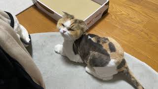 バリカン