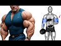 Best Arms Workout For Bigger Biceps Triceps Complete Arm Training Guide