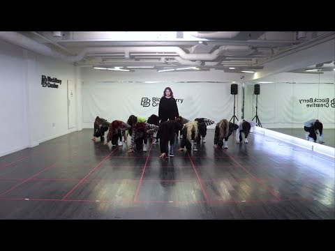 이달의 소녀 (LOONA) "Butterfly" Dance Practice Video