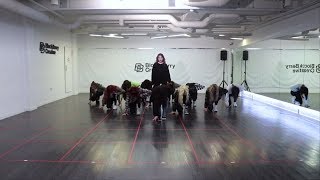 이달의 소녀 (LOONA) &quot;Butterfly&quot; Dance Practice Video