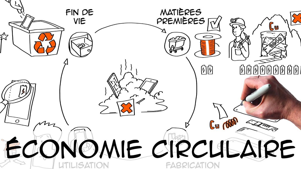 Economie circulaire : définition & exemples | Ecologie Environnement