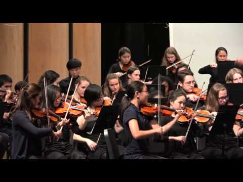 NCP Orchestra - Spring Concert 2016