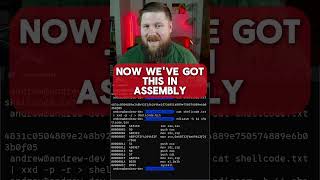 Decoding Shellcode into Assembly Code - Made Easy!