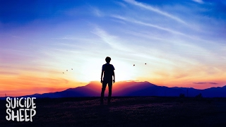 Tedy - Lost &amp; Found