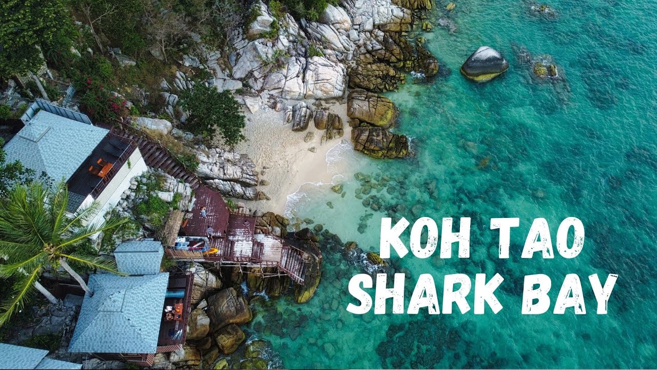 Experience the exhilarating drone capture of Shark Bay, Koh Tao's pristine turquoise haven, where snorkelers journey over crystal-clear waters, rich with sea turtles and blacktip reef sharks, along Thailand's breathtaking coastline.