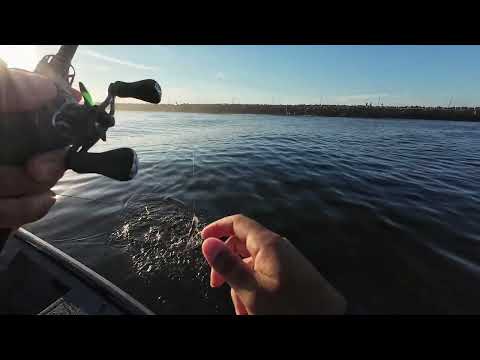 Pescaria de Robalos em Torres / RS