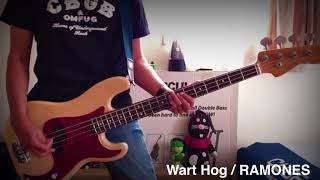 Wart Hog / RAMONES / Bass Cover#28