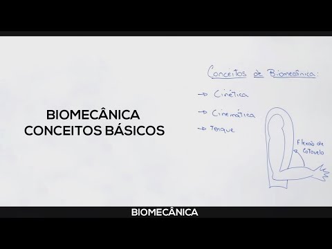 Biomechanics: Basic Concepts