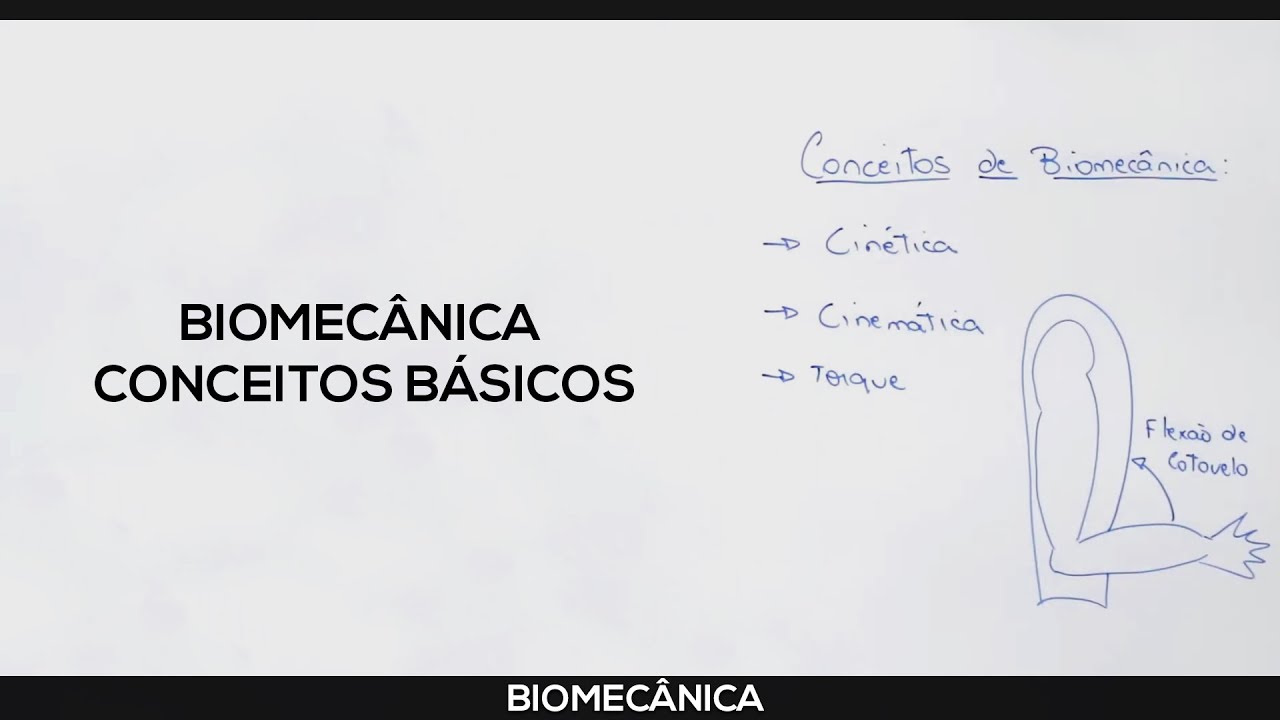 Biomecânica: Conceitos básicos