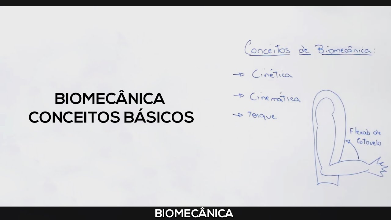 Biomecânica: Conceitos básicos