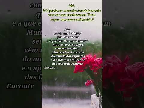 Nos encontramos com os nossos imediatamente após o desencarne LIVRO DOS ESPÍRITOS #shorts