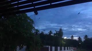 Download lagu Suara Panggil Burung walet Top Respon semua Wilayah mp3 Download lagu Suara Panggil Burung walet Top Respon semua Wilayah mp3