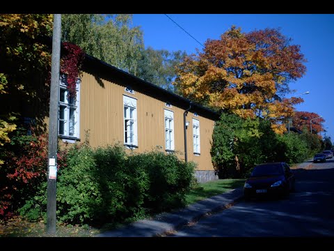 Näyttely 2 Puu-Käpylä video