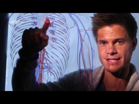 Arthrose des Knies von Grad 3 und 2 für Fußbehandlung Ñ € Ñ <Ð ± ий Ð¶Ð¸Ñ € dd »Ð л ÑŒÐ½Ñ Ð½Ð¾Ðμ мР° Ñ Ð »Ð¾ Ðл Ñ Ñ ÑƒÑ Ñ, Ð ° вов