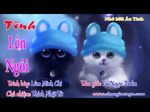 08. Tình lên ngôi