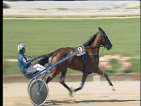 Trotto 13/05/2018 - 2ª corsa