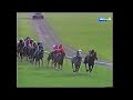 Blue Murder South Australian Derby 2500m Group 1 2000 Trained By Cliff Brown