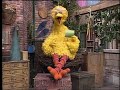 Classic Sesame Street Big Bird Poem Generic Kermit S News Lead In