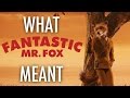 Fantastic Mr  Fox - What it all Meant